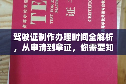 新巴尔虎右旗驾驶证制作办理时间全解析，从申请到拿证，你需要知道的一切