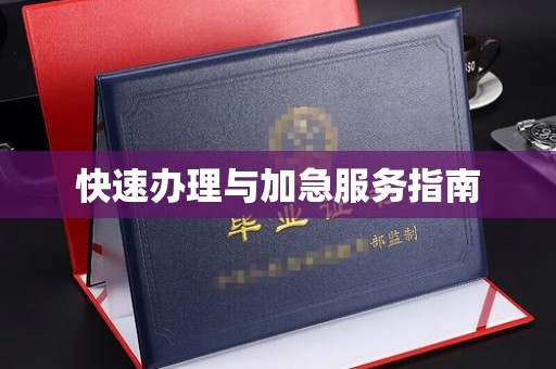 新巴尔虎右旗快速办理与加急服务指南