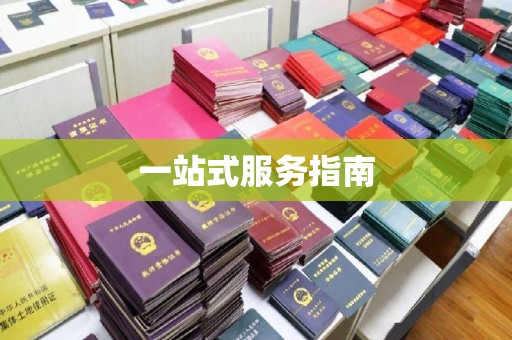 新巴尔虎右旗一站式服务指南