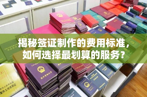 新巴尔虎右旗揭秘签证制作的费用标准，如何选择最划算的服务？